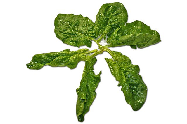 Espinacas