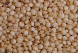 Quinoa, un cereal sin gluten y de fácil digestión