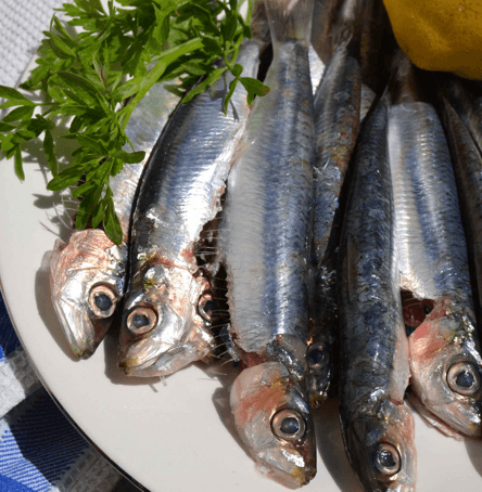 sardinas para adelgazar