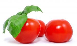 tomate maduro y albahaca