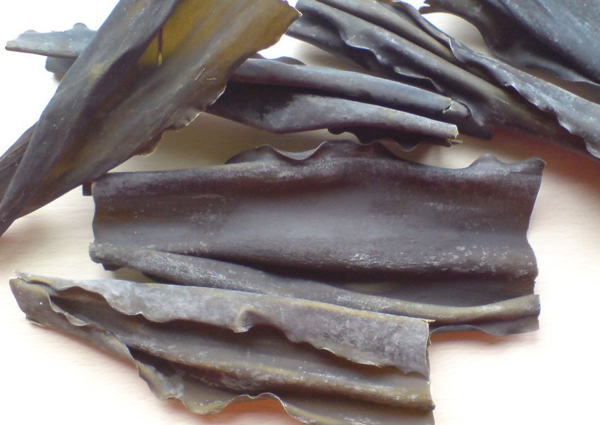 Todo sobre el alga kombu: propiedades, beneficios y su uso en la cocina