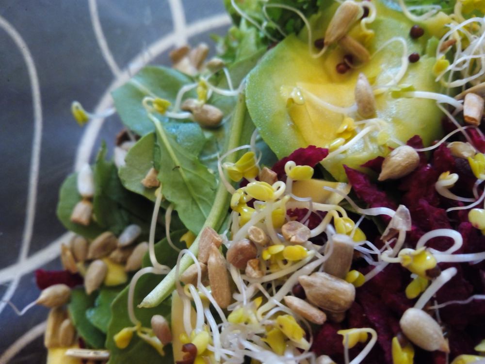 Ensalada de brócoli germinado anticáncer | Armonía Corporal