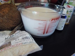 Ingredientes para elaborar el flan de coco