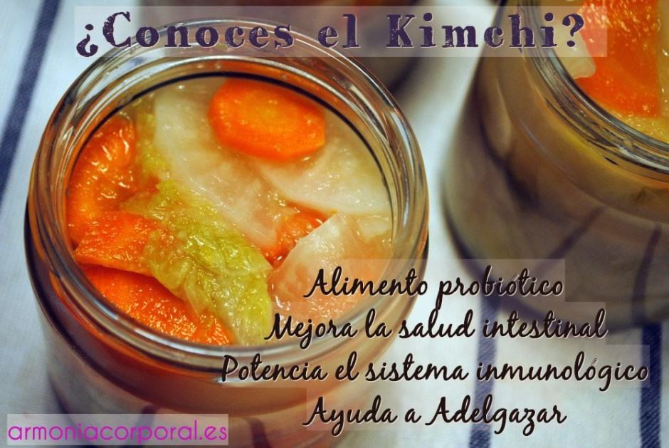 Beneficios Del Probiótico Kimchi Para La Salud - Armonía Corporal